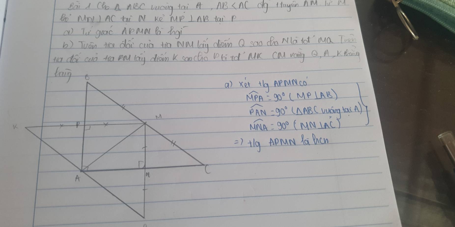 Bai A Cho △ ABC Lucing tai H, AB dg Hayoin AM. le M 
Reo' NNII AC ti N Ke MP L AB tai P
( Tè goaó Apan to Bngì 
b) Tuán tiā dài cuò tio wǒ lag dàin Q sao do Mà to ma Tuù 
to dói cuó to pou lay diain k soocho kiid `M cal voning Q, A, xthing 
a) xé+ tlg ApruNco
widehat MPA=90°(MP⊥ AB)
widehat PAN=90°(△ ABC) vuáng tai A)
widehat MNA=90°(MN⊥ AC)
=)+lg AprN RaBcn
