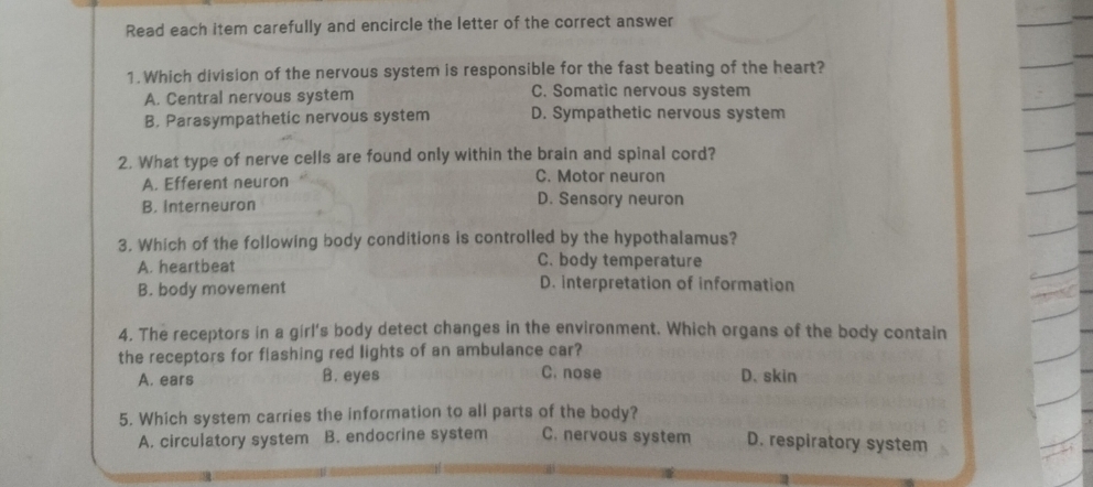 Read each item carefully and encircle the letter of the correct answer
1. Which division of the nervous system is responsible for the fast beating of the heart?
A. Central nervous system C. Somatic nervous system
B. Parasympathetic nervous system D. Sympathetic nervous system
2. What type of nerve cells are found only within the brain and spinal cord?
A. Efferent neuron C. Motor neuron
B. Interneuron D. Sensory neuron
3. Which of the following body conditions is controlled by the hypothalamus?
A. heartbeat C. body temperature
B. body movement D. interpretation of information
4. The receptors in a girl's body detect changes in the environment. Which organs of the body contain
the receptors for flashing red lights of an ambulance car?
A. ears B. eyes C. nose D. skin
5. Which system carries the information to all parts of the body?
A. circulatory system B. endocrine system C. nervous system D. respiratory system