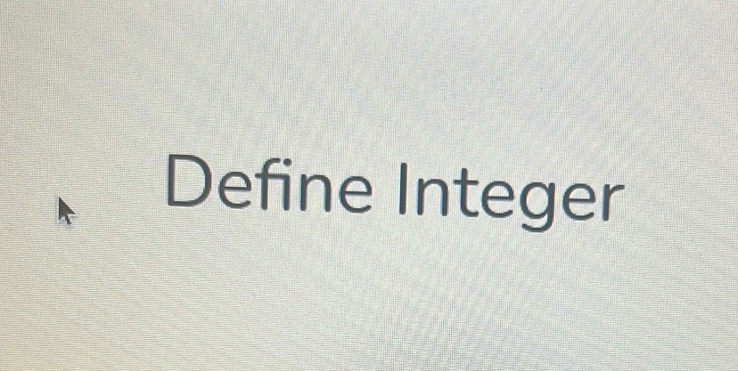 Define Integer