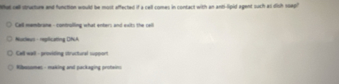 shat cell structure and function would be most affected if a cell comes in contact with an anti-lipid agent such as dish soap?
Cell membrane - controlling what enters and exits the cell
Nucleus - replicating DNA
Call wall - providing structural support
Ribusomes - making and packaging proteins