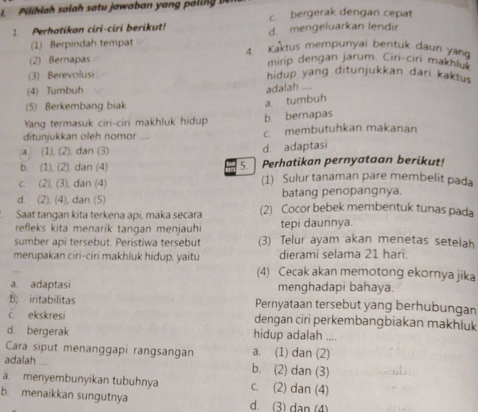 ilil h salah satu jawaban y an  pai
c bergerak dengan cepat
1 Perhatikan ciri-ciri berikut!
d. mengeluarkan lendir
(1) Berpindah tempat 4. Kaktus mempunyai bentuk daun yan
(2) Bernapas mirip dengan jarum. Ciri-ciri makhluk
(3) Berevolusi hidup yang ditunjukkan dari kaktus
(4) Tumbuh
adalah ....
(5) Berkembang biak
a. tumbuh
Yang termasuk ciri-ciri makhluk hidup b. bernapas
ditunjukkan oleh nomor .... c. membutuhkan makanan
a. (1), (2), dan (3)
d. adaptasi
b. (1), (2), dan (4) 5. Perhatikan pernyataan berikut!
c. (2), (3), dan (4)
(1) Sulur tanaman pare membelit pada
d. (2), (4), dan (5) batang penopangnya.
Saat tangan kita terkena api, maka secara
(2) Cocor bebek membentuk tunas pada
refleks kita menarik tangan menjauhi tepi daunnya.
sumber api tersebut. Peristiwa tersebut (3) Telur ayam akan menetas setelah
merupakan ciri-ciri makhluk hidup, yaitu dierami selama 21 hari.
(4) Cecak akan memotong ekornya jika
a. adaptasi menghadapi bahaya.
b iritabilitas Pernyataan tersebut yang berhubungan
c ekskresi dengan ciri perkembangbiakan makhluk
d. bergerak hidup adalah ....
Cara siput menanggapi rangsangan a. (1) dan (2)
adalah .... b. (2) dan (3)
a. menyembunyikan tubuhnya c. (2) dan (4)
b. menaikkan sungutnya d. (3) dan (4)