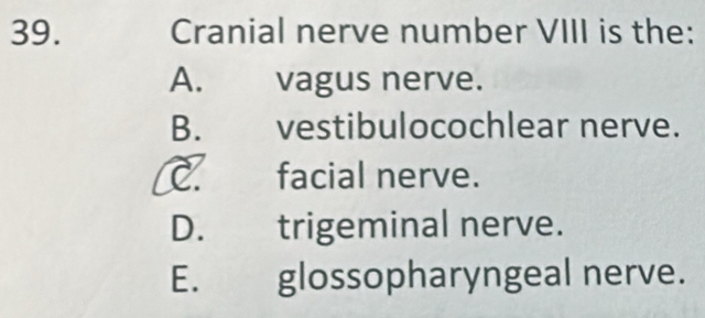 Cranial nerve number VIII is the:
A. vagus nerve.
B. vestibulocochlear nerve.
C. facial nerve.
D. trigeminal nerve.
E. glossopharyngeal nerve.