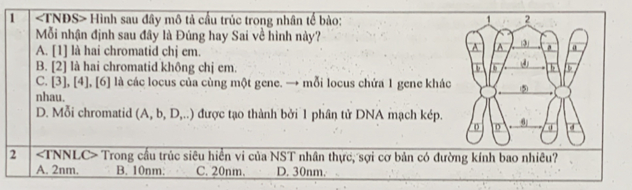 1 Hình sau đây mô tả cầu trúc trong nhân tế bào: 
Mỗi nhận định sau đây là Đúng hay Sai về hình này?
A. [1] là hai chromatid chj em.
B. [2] là hai chromatid không chị em.
C. [3], [4], [6] là các locus của cùng một gene. → mỗi locus chứa 1 gene khác
nhau.
D. Mỗi chromatid (A,b,D,..) được tạo thành bởi 1 phân tử DNA mạch kép.
2 Trong cầu trúc siêu hiển vi của NST nhân thực, sợi cơ bản có đườ
A. 2nm. B. 10nm. C. 20nm. D. 30nm.