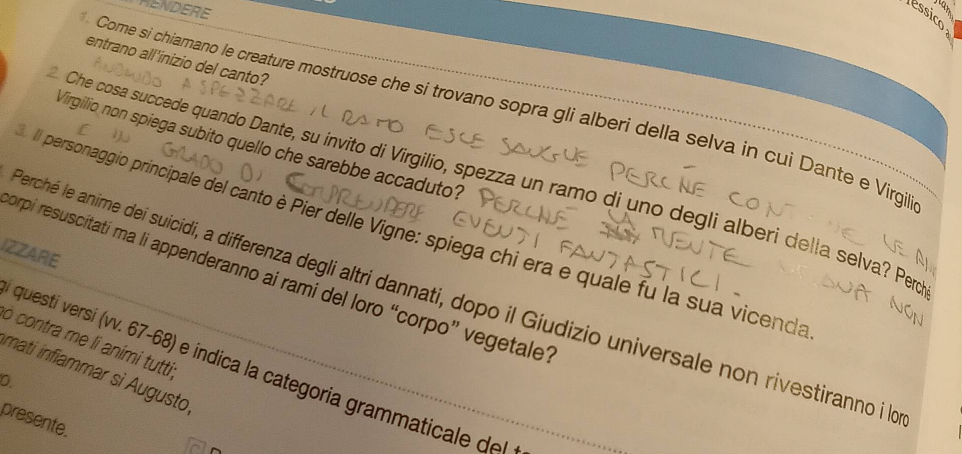 HENDERE 

entrano all'inizio del canto? 
. Come si chiamano le creature mostruose che si trovano sopra gli alberi della selva in cui Dante e Virgili 
Virgilio non spiega subito quello che sarebbe accaduto? 
Che cosa succede quando Dante, su ínvito di Virgilio, spezza un ramo di uno degli alberi della selva? Pero 
Il personaggio principale del canto è Pier delle Vigne: spiega chi era e quale fu la sua vicenda 
IZZARE 
orpi resuscitati ma li appenderanno ai rami del loro “corpo” vegetale' 
Perché le anime dei suicidi, a differenza degli altri dannati, dopo il Gíudizio universale non rivestiranno i lo 
o contra me li aními tutti; 
questi versí (vv. 67-68) e índica la categoria grammaticale d 
mati infiammar sì Augusto 
0 
presente.