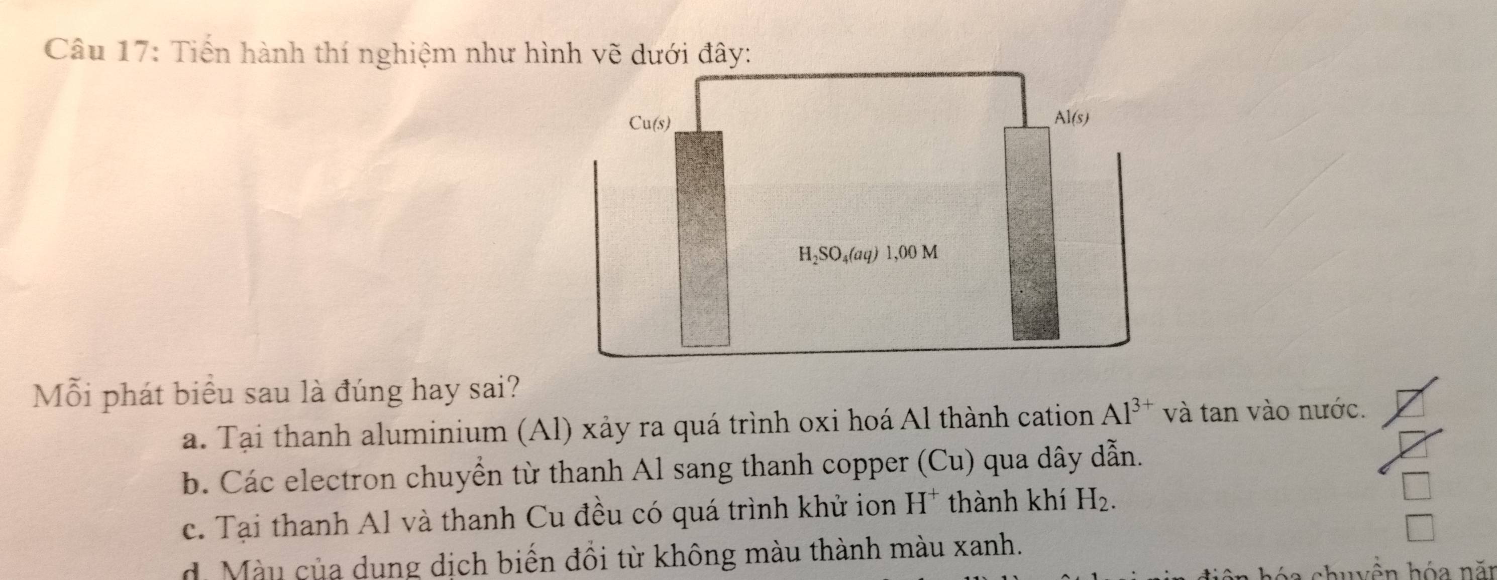 Tiến hành thí nghiệm như hình vẽ dưới đây:
Cu(s) Al (s)
H₂SO₄(aq) 1,00 M
Mỗi phát biểu sau là đúng hay sai?
a. Tại thanh aluminium (Al) xảy ra quá trình oxi hoá Al thành cation Al^(3+) và tan vào nước.
b. Các electron chuyển từ thanh Al sang thanh copper (Cu) qua dây dẫn.
c. Tại thanh Al và thanh Cu đều có quá trình khử ion H^+. thành khí H_2.
d. Màu của dung dịch biến đồi từ không màu thành màu xanh.
b a chuyền hóa năm