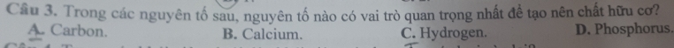 Cầu 3. Trong các nguyên tố sau, nguyên tố nào có vai trò quan trọng nhất để tạo nên chất hữu cơ?
A. Carbon. B. Calcium. C. Hydrogen. D. Phosphorus.