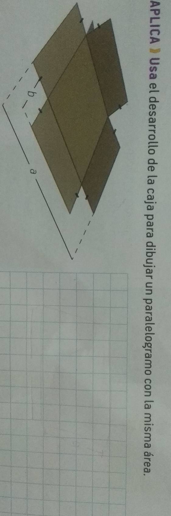 APLICA » Usa el desarrollo de la caja para dibujar un paralelogramo con la misma área.