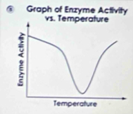 Graph of Enzyme Activity