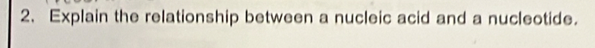 Explain the relationship between a nucleic acid and a nucleotide.