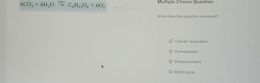 6CO_2+6H_2Oxrightarrow HghtC_6H_12O_6+6O_2 Multiple Choice Question
What does the equation represent?
Cellular respiration
Fermentation
Photosynthesis
Krebs cycle