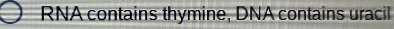 RNA contains thymine, DNA contains uracil