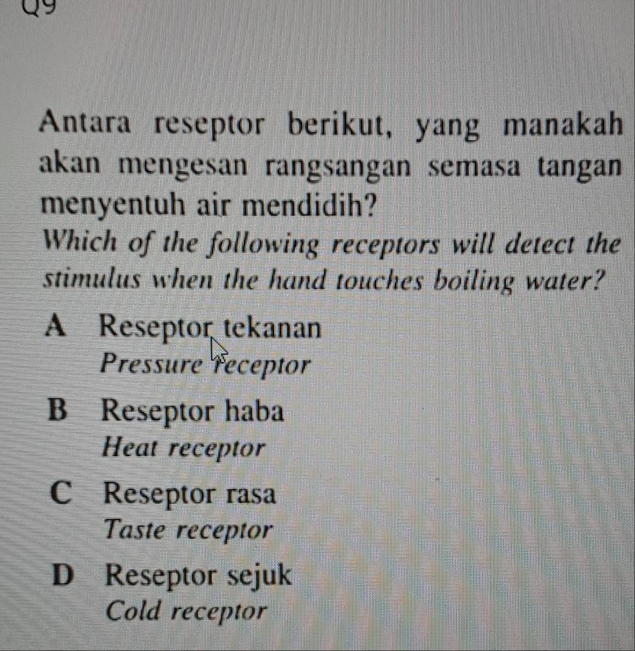 Antara reseptor berikut, yang manakah
akan mengesan rangsangan semasa tangan 
menyentuh air mendidih?
Which of the following receptors will detect the
stimulus when the hand touches boiling water?
A Reseptor tekanan
Pressure receptor
B Reseptor haba
Heat receptor
C Reseptor rasa
Taste receptor
D Reseptor sejuk
Cold receptor