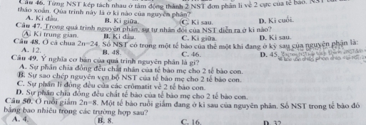 Cầu 46, Từng NST kép tách nhau ở tâm động thành 2 NST đơn phân li về 2 cực của tế bao. NS
tháo xoắn. Qúa trình này là ở kỉ nào của nguyên phân?
A. Kì đầu. B. Ki giữa. C. Ki sau D. Kì cuối.
Câu 47, Trong quá trình nguyên phân, sự tự nhân đối của NST diễn ra ở kì nào?
A Kỉ trung gian. B. Ki đầu. C. Kì giữa. D. Ki sau
Câu 48. Ở cả chua 2n=24 Số NST có trong một tế bảo của thể một khi đang ở kỷ sau của nguyên phận là:
A. 12. B. 48.
Cầu 49. Ý nghĩa cơ bản của quá trình nguyên phân là gi? C. 46. D. 45.

A. Sự phân chia đồng đều chất nhân của tế bào mẹ cho 2 tế bào con.
B. Sự sao chép nguyên vẹn bộ NST của tế bão mẹ cho 2 tế bảo con.
C. Sự phần li đồng đều của các crômatit về 2 tế bào con.
D. Sự phân chia đồng đều chất tế bào của tế bào mẹ cho 2 tế bào con.
Câu 50, Ở ruồi giảm 2n=8. Một tế bào ruồi giấm đang ở ki sau của nguyên phân. Số NST trong tế bào đó
bằng bao nhiêu trong các trường hợp sau?
A. 4. B. 8. C. 16. D 32