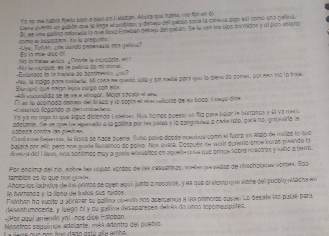 Yo no me había fijado bien a bien en Esteban. Ahora que habla, me fijo en él.
Lleva puesto un gabán que le llega al ombiligo, y debajo del gabán saca la cabeza algo así como una gallina.
Sii, es una gallíina colorada la que lleva Esteban debajo del gabán. Se le ven los ojos dormidos y el pico abierto
como sí bostezara. Yo le pregunto:
-Oye, Teban, ¿de dónde pepenaste esa gallina?
Es la mía-dice él.
-No la traías antes. ¿Dónde la mercaste, eh?
-No la merque, es la gallina de mi corral.
-Entonces te la trajiste de bastimento, ¿no?
-No, la traigo para cuidarla. Mi casa se quedó sola y sin nadie para que le diera de comer; por eso me la traje.
Siempre que salgo lejos cargo con ella.
-Allí escondida se te va a ahogar. Mejor sácala al aire.
Él se la acomoda debajo del brazo y le sopla el aire caliente de su boca. Luego dice:
-Estamos Illegando al derrumbadero.
Yo ya no oigo lo que sigue diciendo Esteban. Nos hemos puesto en fila para bajar la barranca y él va mero
adelante. Se ve que ha agarrado a la gallina por las patas y la zangolotea a cada rato, para no, golpearle la
cabeza contra las piedras.
Conforme bajamos, la tierra se hace buena. Sube polvo desde nosotros como si fuera un atajo de mulas lo que
bajará por allí; pero nos gusta lllenarnos de polvo. Nos gusta. Después de venir durante once horas pisando la
dureza del Llano, nos sentimos muy a gusto envueltos en aquella cosa que brinca sobre nosotros y sabe a tierra.
Por encima del río, sobre las copas verdes de las casuarinas, vuelan parvadas de chachalacas verdes. Eso
también es lo que nos gusta.
Ahora los ladridos de los perros se oyen aquí, junto a nosotros, y es que el viento que viene del pueblo retacha en
la barranca y la llena de todos sus ruidos.
Esteban ha vuelto a abrazar su gallina cuando nos acercamos a las primeras casas. Le desata las patas para
desentumecerla, y luego él y su gallina desaparecen detrás de unos tepemezquites.
-¡Por aquí arriendo yo! -nos dice Esteban.
Nosotros seguimos adelante, más adentro del pueblo.
La tierra que nos han dado está allá arriba.