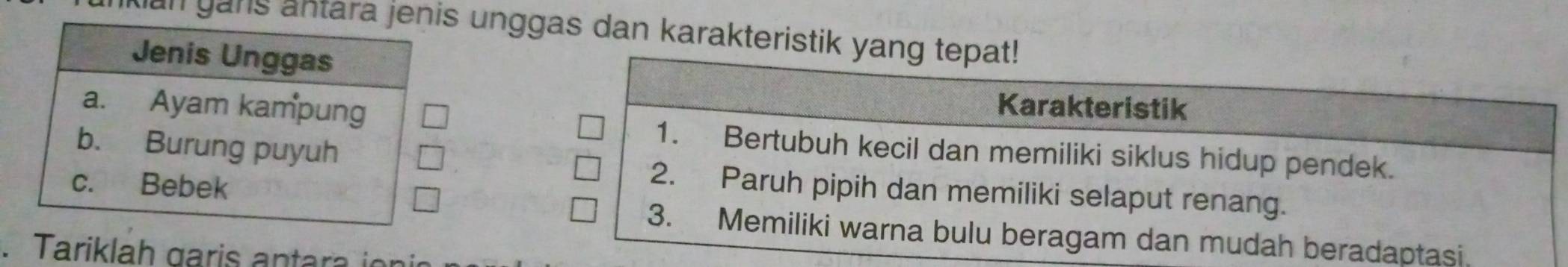 an gans antars unggas dan karakteristik y. Tariklah garis antara in