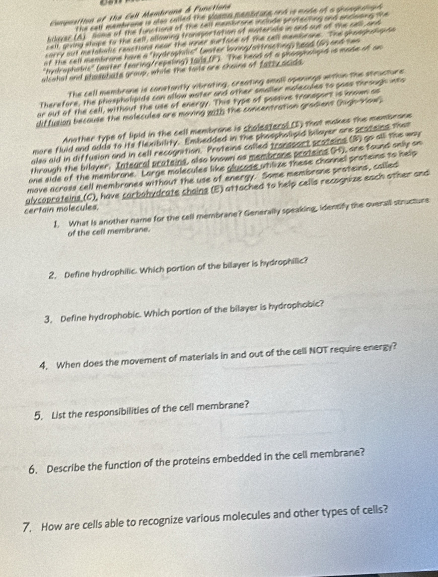 Composition of the Cell Membrane & Functione
The cell membrone is also called the ploama menor ane and is made of a shondedigd 
bilaver (A) same of the functions of the call membrone include seonecting and encoang the
cell, giving ahope to the sell, allouing trompertation of moterioe in and oue of the call and
carry out metabalic reactions near the inner surface of the cell menbcone. The sheaperhaune
of the cell membrane have a "hydrophilis" *  water lonng/ attracting ) head (6) and two 
hydrophabls" (water fearing/repeling) Ials (F). The head of a phoopholipid is made of on 
alcahal and phosphate group, while the tais are chaine of fatty acids,
The cell membrane is constantly vibrating, creating small openings within the structure
Therefore, the phaspholipids can allow water and other smaller molecules to soes through wto
or out of the cell, without the use of energy. This type of possive transport is known as
diffusion because the molecules are maiing with the concentration gradient Chigh-How
Another type of lipid in the cell membrone is chalesteral (5) that makes the membrone
more fluid and adds to its flexibility. Embedded in the phospholipid bllayer are scateing then
also aid in diffusion and in cell recognition. Proteins called transcect scateing (3) go all the way
through the bilayer. Integral prateins, also known as membrone pratsins (H), are found only on
one side of the membrone. Large malecules like glucose whiize these channel proteins to help
move across cell membrones without the use of energy. Some membrone proteins, called
alycoprateins (C), have carbohydrate chains (E) attached to help cells recognize each other and
certain molecules.
1. What is another name for the cell membrane? Generally speaking, identify the overall structure
of the cell membrane.
2. Define hydrophilic. Which portion of the bilayer is hydrophilic?
3. Define hydrophobic. Which portion of the bilayer is hydrophobic?
4. When does the movement of materials in and out of the cell NOT require energy?
5. List the responsibilities of the cell membrane?
6. Describe the function of the proteins embedded in the cell membrane?
7. How are cells able to recognize various molecules and other types of cells?