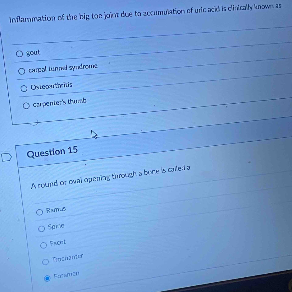 Inflammation of the big toe joint due to accumulation of uric acid is clinically known as
gout
carpal tunnel syndrome
Osteoarthritis
carpenter's thumb
Question 15
A round or oval opening through a bone is called a
Ramus
Spine
Facet
Trochanter
Foramen