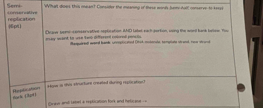 Semi- What does this mean? Consider the meaning of these words (semi-half; conserve--to keep) 
conservative 
replication 
(6pt) 
Draw semi-conservative replication AND label each portion, using the word bank below. You 
may want to use two different colored pencils. 
Required word bank: unreplicated DNA molecule, template strand, new strand 
How is this structure created during replication? 
Replication 
fark (3pt) 
Draw and label a replication fork and helicase --