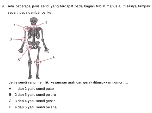 Ada beberapa jenis sendi yang terdapat pada bagian tubuh manusia, misalnya tampak
seperti pada gambar berikut.
Jenis sendi yang memiliki kesamaan arah dan gerak ditunjukkan nomor ....
A. 1 dan 2 yaitu sendi putar
B. 2 dan 5 yaitu sendi peluru
C. 3 dan 4 yaitu sendi geser
D. 4 dan 5 yaitu sendi pelana