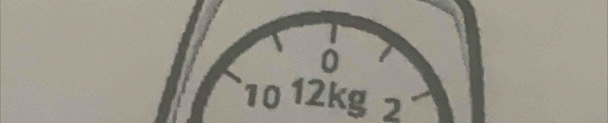 0
10 12kg 2