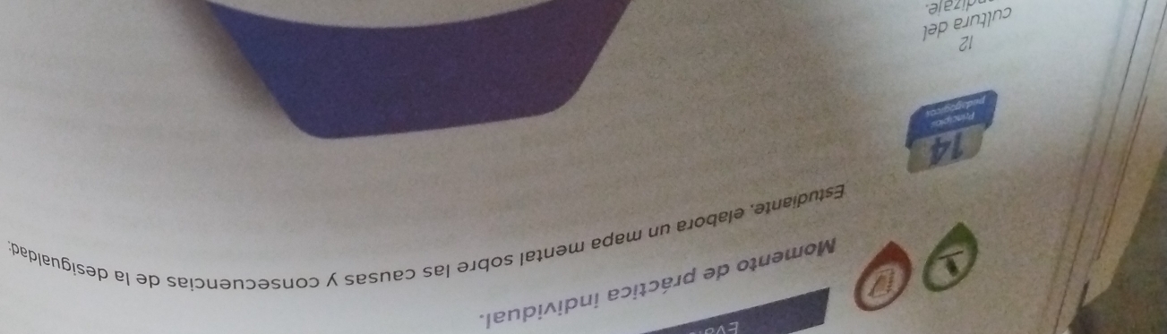 Momento de práctica individual. 
Estudiante, elabora un mapa mental sobre las causas y consecuencias de la desigualdad;
14
12
cultura del 
dizaie.