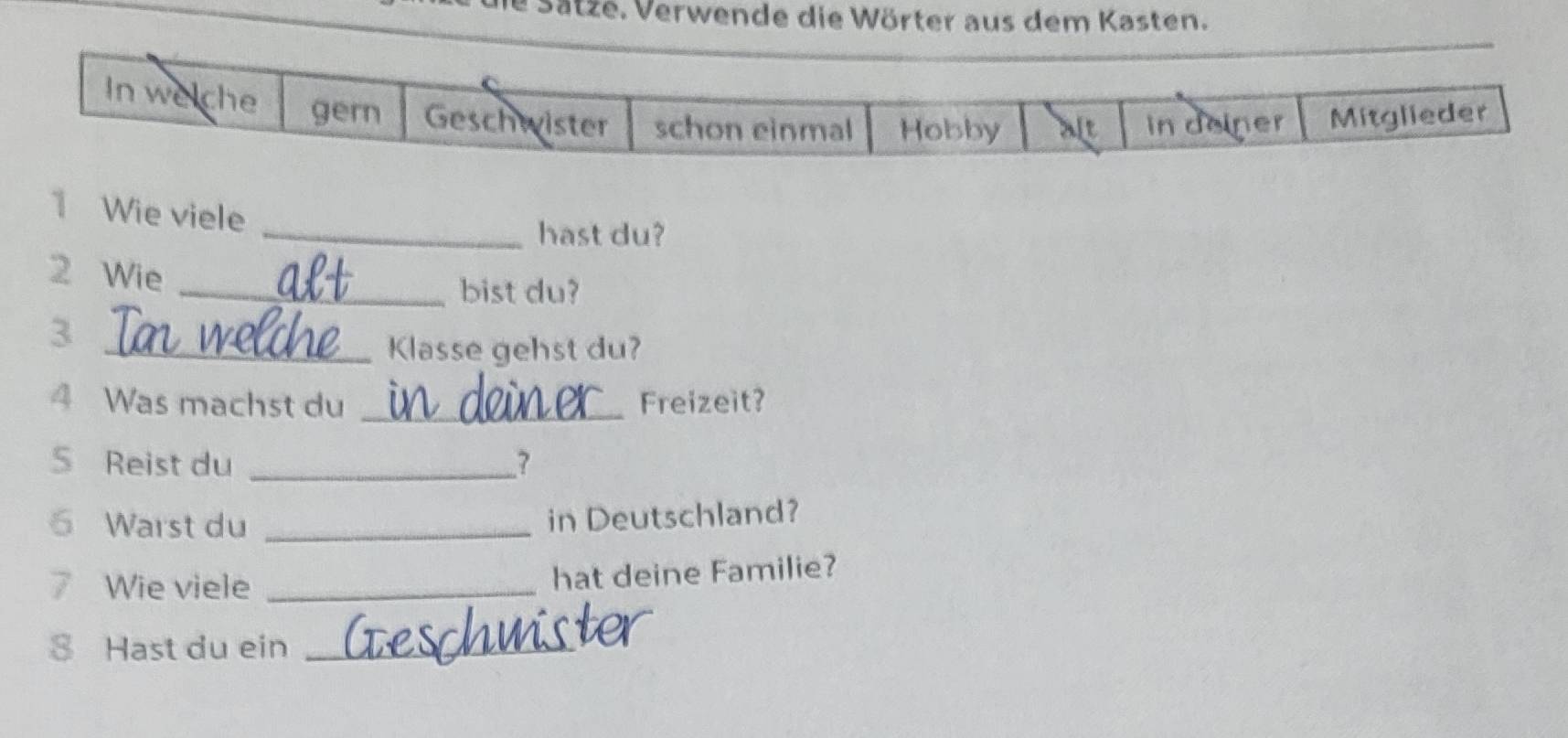 Satze. Verwende die Wörter aus dem Kasten. 
1 Wie viele 
_hast du?
2 Wie 
_bist du? 
3 
_Klasse gehst du? 
4 Was machst du _Freizeit? 
S Reist du _? 
6 Warst du_ 
in Deutschland? 
7 Wie viele_ 
hat deine Familie?
8 Hast du ein_