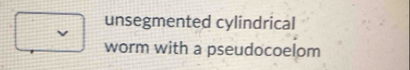 Solved: unsegmented cylindrical a worm with a pseudocoelom [Biology]