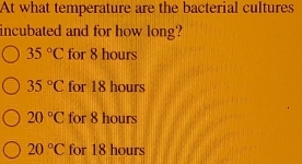 At what temperature are the bacterial cultures
incubated and for how long?
35°C for 8 hours
35°C for 18 hours
20°C for 8 hours
20°C for 18 hours