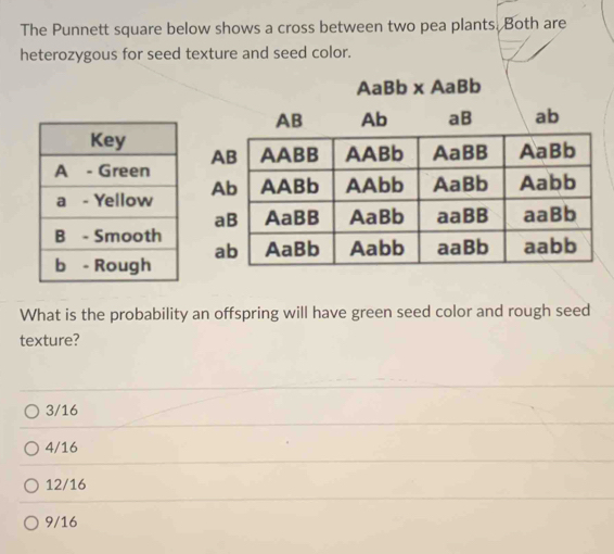 The Punnett square below shows a cross between two pea plants. Both are
heterozygous for seed texture and seed color.
What is the probability an offspring will have green seed color and rough seed
texture?
3/16
4/16
12/16
9/16