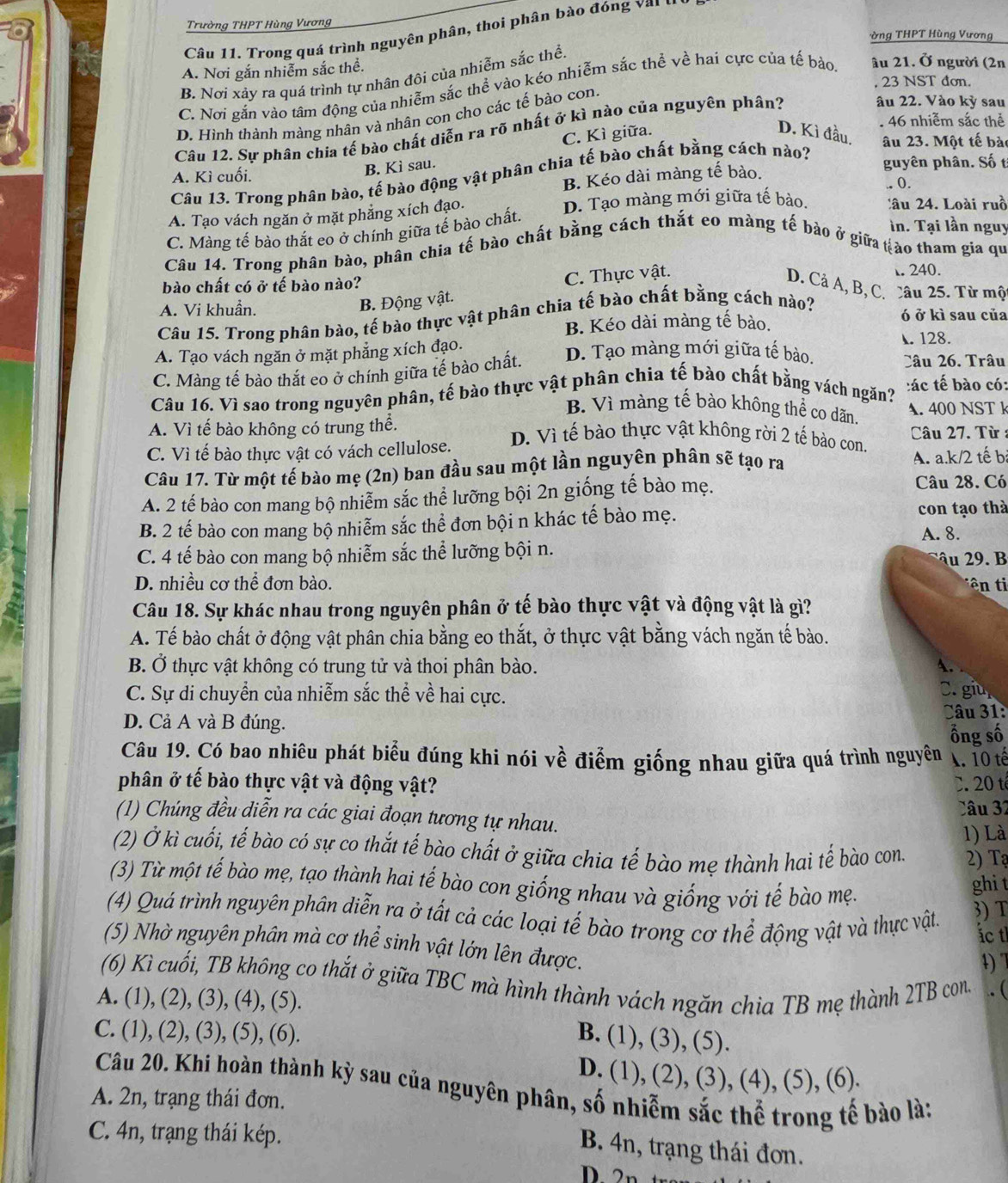 Trường THPT Hùng Vương
Câu 11. Trong quá trình nguyên phân, thoi phân bào đóng v a i  u
ờng THPT Hùng Vương
A. Nơi gắn nhiễm sắc thể.
B. Nơi xảy ra quá trình tự nhân đôi của nhiễm sắc thể
23 NST đơn.
C. Nơi gắn vào tâm động của nhiễm sắc thể vào kéo nhiễm sắc thể về hai cực của tế bào, âu 21. Ở người (2n
D. Hình thành màng nhân và nhân con cho các tế bào con.
âu 22. Vào kỳ sau
46 nhiễm sắc thể
Câu 12. Sự phân chia tế bào chất diễn ra rõ nhất ở kì nào của nguyên phân?
C. Kì giữa. D. Kì đầu, âu 23. Một tế bào
B. Kì sau.
A. Kì cuối. guyên phân. Số t
Câu 13. Trong phân bào, tế bào động vật phân chia tế bào chất bằng cách nào?
B. Kéo dài màng tế bào.
., (.
A. Tạo vách ngăn ở mặt phẳng xích đạo. D. Tạo màng mới giữa tế bào. 'âu 24. Loài ruồ
C. Màng tế bào thắt eo ở chính giữa tế bào chất.
in. Tại lần nguy
Câu 14. Trong phân bào, phân chia tế bào chất bằng cách thắt eo màng tế bào ở giữa tào tham gia qu
C. Thực vật.
. 240.
bào chất có ở tế bào nào?
D. Cả A, B, C. Câu 25. Từ mộ
B. Động vật.
A. Vi khuẩn. ó ở kì sau của
Câu 15. Trong phân bào, tế bào thực vật phân chia tế bào chất bằng cách nào?
B. Kéo dài màng tế bào.
A 128.
A. Tạo vách ngăn ở mặt phẳng xích đạo. Câu 26. Trâu
C. Màng tế bào thắt eo ở chính giữa tế bào chất. D. Tạo màng mới giữa tế bào.
Câu 16. Vì sao trong nguyên phân, tế bào thực vật phân chia tế bào chất bằng vách ngăn? :ác tế bào có:
B. Vì màng tế bào không thể co dãn. A. 400 NST k
A. Vì tế bào không có trung thể. D. Vì tế bào thực vật không rời 2 tế bào con.  Câu 27. Từ :
C. Vì tế bào thực vật có vách cellulose.
Câu 17. Từ một tế bào mẹ (2n) ban đầu sau một lần nguyên phân sẽ tạo ra A. a.k/2 tế bị
A. 2 tế bào con mang bộ nhiễm sắc thể lưỡng bội 2n giống tế bào mẹ.
Câu 28. Có
B. 2 tế bào con mang bộ nhiễm sắc thể đơn bội n khác tế bào mẹ. con tạo thà
A. 8.
C. 4 tế bào con mang bộ nhiễm sắc thể lưỡng bội n.
âu 29. B
D. nhiều cơ thể đơn bào. ên ti
Câu 18. Sự khác nhau trong nguyên phân ở tế bào thực vật và động vật là gì?
A. Tế bào chất ở động vật phân chia bằng eo thắt, ở thực vật bằng vách ngăn tế bào.
B. Ở thực vật không có trung tử và thoi phân bào. A.
C. Sự di chuyển của nhiễm sắc thể về hai cực.
C. giù
D. Cả A và B đúng.
Câu 31:
ổng số
Câu 19. Có bao nhiêu phát biểu đúng khi nói về điểm giống nhau giữa quá trình nguyên A. 10 tế
phân ở tế bào thực vật và động vật? C. 20 t
Câu 32
(1) Chúng đều diễn ra các giai đoạn tương tự nhau.
1) Là
(2) Ở kì cuối, tế bào có sự co thắt tế bào chất ở giữa chia tế bào mẹ thành hai tế bào con 2) Tạ
(3) Từ một tế bào mẹ, tạo thành hai tế bào con giống nhau và giống với tế bào mẹ.
ghi t
(4) Quá trình nguyên phân diễn ra ở tất cả các loại tế bào trong cơ thể động vật và thực vật.
3) T
Íc t
(5) Nhờ nguyên phân mà cơ thể sinh vật lớn lên được.
4) 7
(6) Kì cuối, TB không co thắt ở giữa TBC mà hình thành vách ngăn chìa TB mẹ thành 2TB con. .. (
A. (1), (2), (3), (4), (5).
C. (1), (2), (3), (5), (6).
B. (1), (3), (5).
D. (1), (2), (3), (4), (5), (6).
A. 2n, trạng thái đơn. Câu 20. Khi hoàn thành kỳ sau của nguyên phân, số nhiễm sắc thể trong tế bào là:
C. 4n, trạng thái kép.
B. 4n, trạng thái đơn.