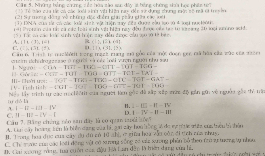 Những bằng chứng tiến hóa nào sau đây là bằng chứng sinh học phân tứ?
( 1) Tể bào cua tất cả các loài sinh vật hiện nay đều sử dụng chung một bộ mã di truyền.
(2) Sự tương đồng về những đặc điểm giải phẫu giữa các loài.
(3) DNA của tất cả các loài sinh vật hiện nay đều được cấu tạo từ 4 loại nuclêôtit.
(4) Protein của tất cá các loài sinh vật hiện nay đều được cấu tạo từ khoảng 20 loại amino acid.
(5) Tất cả các loài sinh vật hiện nay đều được cầu tạo từ tế bào.
A. ( l ),(3),(4). B. ( 1),(2),(4)
C. (1),(3),(5) D. (1),(3),(5).
Câu 6. Trình tự nuclêôtit trong mạch mang mã gốc của một đoạn gen mã hóa cấu trúc của nhỏm
enzim dehidrogenase ở người và các loài vượn người như sau
I- Người: -CGA-TGT-TGG-GTT-TGT-TGG-
II- Gôrila: -CGT-TGT-TGG-GTT-TGT-TAT-
III- Đười ươi: -TGT-TGG-TGG-GTC-TGT-GAT-
IV- Tinh tinh: -CGT-TGT-TGG-GTT-TGT-TGG-
Nếu lấy trình tự các nuclêôtit của người làm gốc để sắp xếp mức độ gần gũi về nguồn gốc thi trật
tự đó là
A. -II-III-IV B. I-III-II-IV
C. II-III-IV-I
D. I-IV-II-II
Cầu 7. Bằng chứng nào sau đây là cơ quan thoái hóa?
A. Gai cây hoàng liên là biển dạng của lá, gai cây hoa hồng là do sự phát triển của biểu bì thân
B. Trong hoa đực của cây du đủ có 10 nhị, ở giữa hoa vẫn còn di tích của nhuy.
C. Chi trước của các loài động vật có xương sống có các xương phân bố theo thứ tự tương tự nhau.
D. Gai xương rồng, tua cuồn của đậu Hà Lan đều là biển dạng của lá.
u  s ó  c  h i  trước th í ch n g   i   v ớ