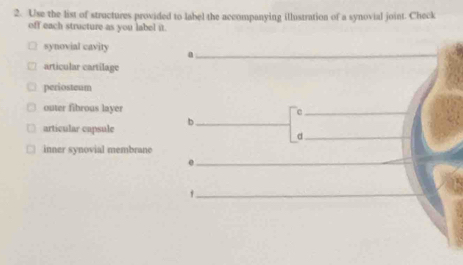 Use the list of structures provided to label the accompanying illustration of a synovial joint. Check 
off each structure as you label it. 
synovial cavity a_ 
articular cartilage 
periosteum 
outer fibrous layer c_ 
_b 
articular capsule 
_d 
inner synovial membrane 
_ 
_1