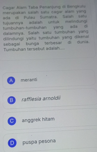 Cagar Alam Taba Penanjung di Bengkulu
merupakan salah satu cagar alam yang
ada di Pulau Sumatra. Salah satu
tujuannya adalah untuk melindungi
tumbuhan-tumbuhan yang ada di
dalamnya. Salah satu tumbuhan yang
dilindungi yaitu tumbuhan yang dikenal
sebagai bunga terbesar di dunia.
Tumbuhan tersebut adalah....
A meranti
B rafflesia arnoldii
C anggrek hitam
D puspa pesona