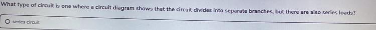 What type of circuit is one where a circuit diagram shows that the circuit divides into separate branches, but there are also series loads? 
series circuit