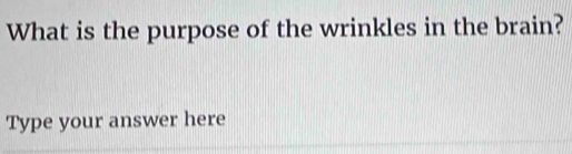 What is the purpose of the wrinkles in the brain? 
Type your answer here