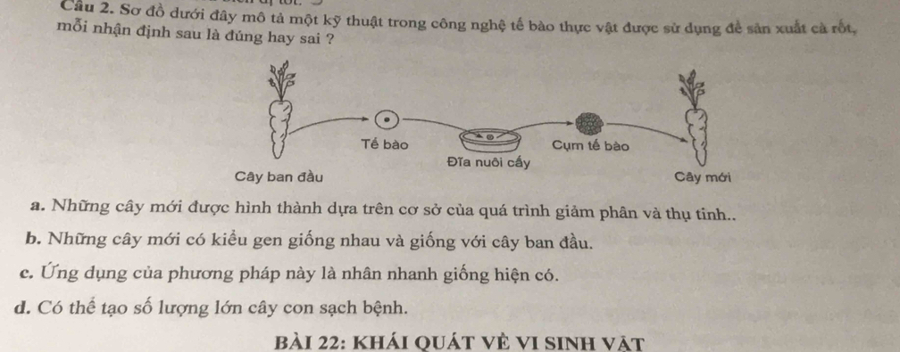 Cầu 2. Sơ đồ dưới đây mô tả một kỹ thuật trong công nghệ tế bào thực vật được sử dụng để sản xuất cà rột,
mỗi nhận định sau là đúng hay sai ?
a. Những cây mới được hình thành dựa trên cơ sở của quá trình giảm phân và thụ tinh..
b. Những cây mới có kiểu gen giống nhau và giống với cây ban đầu.
c. Ứng dụng của phương pháp này là nhân nhanh giống hiện có.
d. Có thể tạo số lượng lớn cây con sạch bệnh.
bài 22: khái quát vẻ vI sinh vật