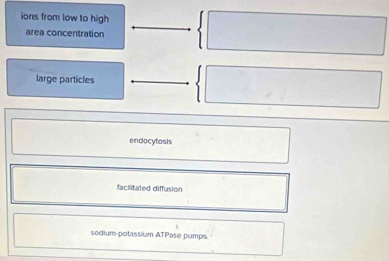 ions from low to high
area concentration
□  
large particles
endocytosis
facilitated diffusion
sodium-potassium ATPase pumps