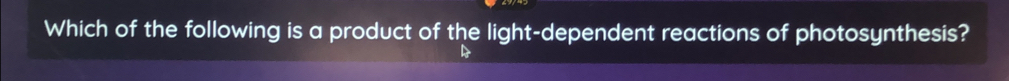 Which of the following is a product of the light-dependent reactions of photosynthesis?