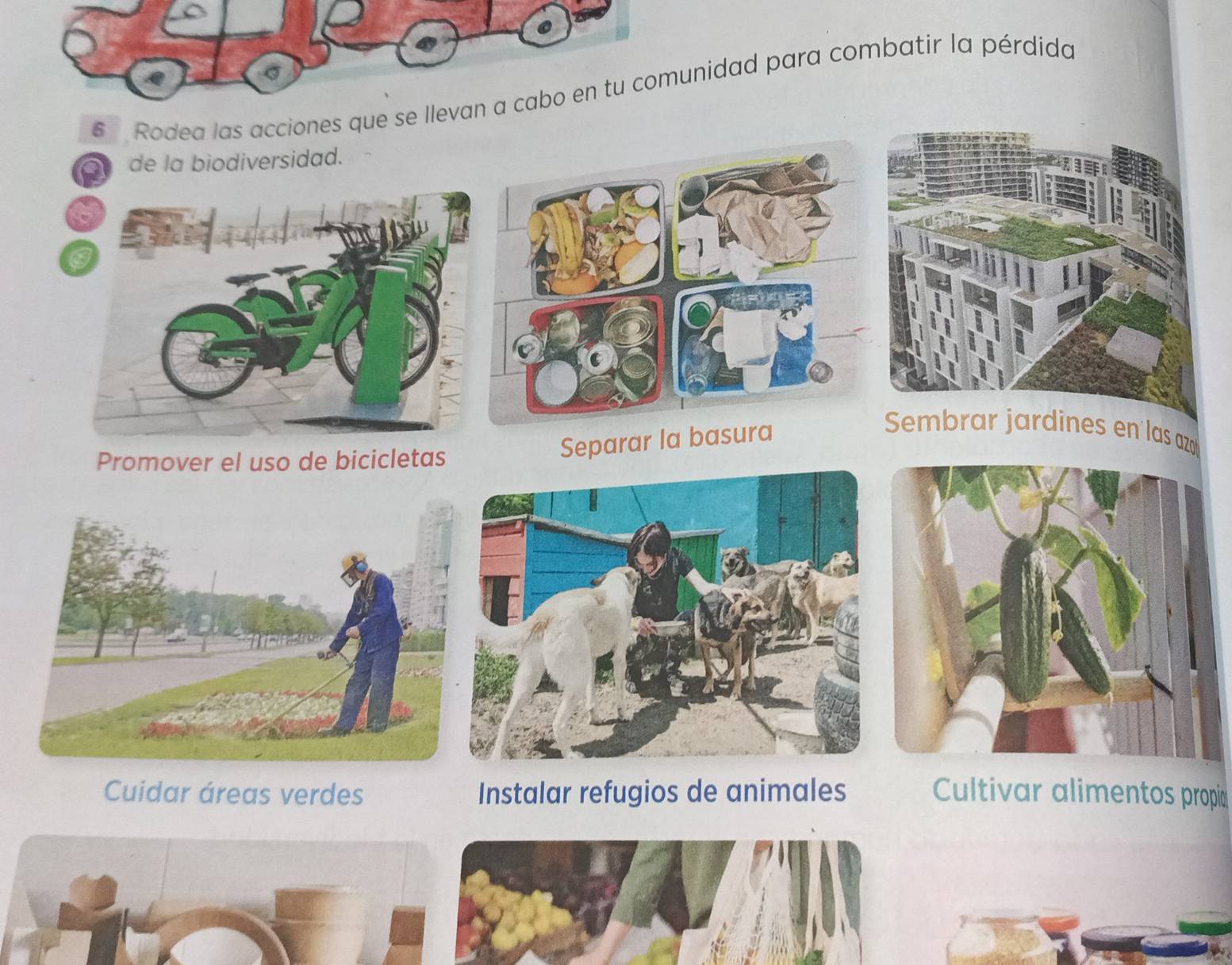 Rodea las acciones que se llevan a cabo en tu comunidad para combatir la pérdida 
de la biodiversidad. 
Sembrar jardines en las az 
Promover el uso de bicicletas 
Separar la ba 
Cuidar áreas verdes Instalar refugios de animales Cultivar alimentos propic