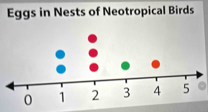 Eggs in Nests of Neotropical Birds