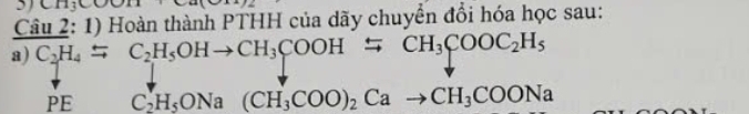 5 CH3CO
Câu 2: 1) Hoàn thành PTHH của dãy chuyển đổi hóa học sau: 
a) C_2H_4rightarrow C_2H_5OHto CH_3COOHrightarrow CH_3COOC_2H_5
PE C_2^(+H_5)ONa(CH_3COO)_2Cato CH_3COONa