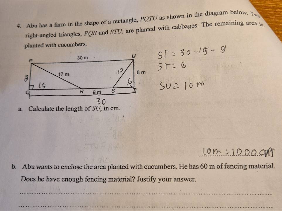 Abu has a farm in the shape of a rectangle, PQTU as shown in the diagram below. Tw 
right-angled triangles, PQR and STU, are planted with cabbages. The remaining area is 
planted with cucumbers. 
a. Calculate the length of SU, in cm. 
_ 
_ 
b. Abu wants to enclose the area planted with cucumbers. He has 60 m of fencing material. 
Does he have enough fencing material? Justify your answer. 
_ 
_