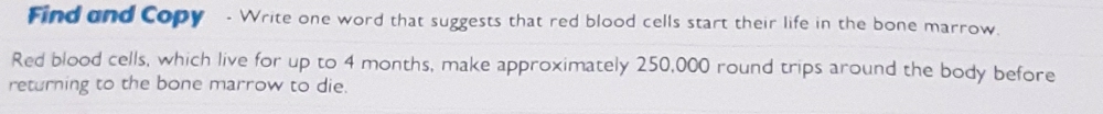 Find and Copy - Write one word that suggests that red blood cells start their life in the bone marrow. 
Red blood cells, which live for up to 4 months, make approximately 250,000 round trips around the body before 
returning to the bone marrow to die.