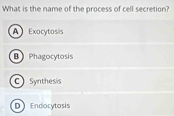 What is the name of the process of cell secretion?
AExocytosis
B Phagocytosis
CSynthesis
D Endocytosis