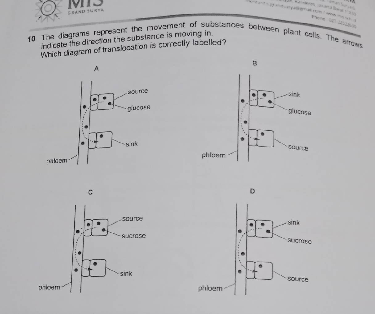 MTS 
Kalideres, Jakarta Barát 11837 
GRAND SURYA 
nt an ts grandsury as gmail com i ww ms sc 
Phone 021-22522600 
10 The diagrams represent the movement of substances between plant cells. The arrows 
indicate the direction the substance is moving in. 
Which diagram of translocation is correctly labelled?