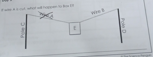 DU 
If wirewill happen to Box E? 
The Science Penquin