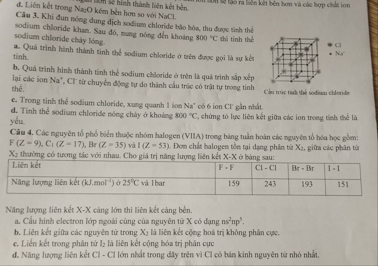 non nôn sẽ tạo ra liên kết bên hơn và các hợp chất ion
gun lôn sẽ hình thành liên kết bền.
d. Liên kết trong Na₂O kém bền hơn so với NaCl.
Câu 3. Khi đun nóng dung dịch sodium chloride bão hòa, thu được tinh thể
sodium chloride khan. Sau đó, nung nóng đến khoảng 800°C thì tinh thể
sodium chloride chảy lỏng.
Cl
a. Quá trình hình thành tinh thể sodium chloride ở trên được gọi là sự kết
tinh.
Na^r
b. Quá trình hình thành tinh thể sodium chloride ở trên là quá trình sắp xếp
lại các ion Na*, Cl¯ từ chuyển động tự do thành cấu trúc có trật tự trong tinh
thể. Cầu trúc tỉnh thể sodium chloride
c. Trong tinh thể sodium chloride, xung quanh 1 ion Na^+ có 6 ion Cl gần nhất.
d. Tinh thể sodium chloride nóng chảy ở khoảng 800°C , chứng tỏ lực liên kết giữa các ion trong tinh thể là
yếu.
Câu 4. Các nguyên tố phổ biến thuộc nhóm halogen (VIIA) trong bảng tuần hoàn các nguyên tố hóa học gồm:
F(Z=9),C_1(Z=17) , Br (Z=35) và I(Z=53). Đơn chất halogen tồn tại dạng phân tử X_2 , giữa các phân tử
X_2 thường có tương tác với nhau. Cho giá trị năng lượng liên kết X-X ở bảng sau:
Năng lượng liên kết X-X càng lớn thì liên kết càng bền.
a. Cấu hình electron lớp ngoài cùng của nguyên tử X có dạng ns^2np^5.
b. Liên kết giữa các nguyên tử trong X_2 là liên kết cộng hoá trị không phân cực.
c. Liến kết trong phân tử I_2 là liên kết cộng hóa trị phân cực
d. Năng lượng liên kết Cl - Cl lớn nhất trong dãy trên vì Cl có bán kính nguyên tử nhỏ nhất.