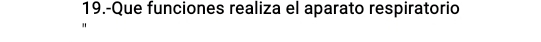 19.-Que funciones realiza el aparato respiratorio