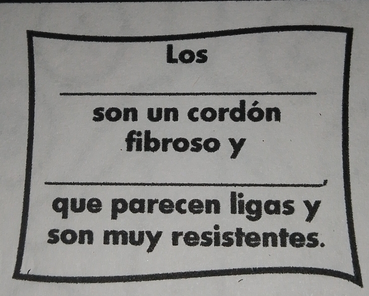 Los 
_ 
son un cordón 
fibroso y 
_ 
que parecen ligas y 
son muy resistentes.