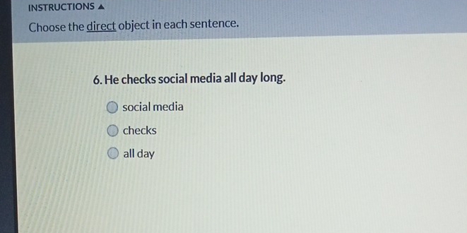 INSTRUCTIONS
Choose the direct object in each sentence.
6. He checks social media all day long.
social media
checks
all day